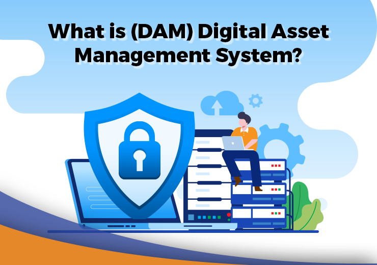 What is DAM Digital Asset Management System