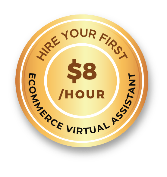 vserve|Ecommerce Virtual Assistant Services