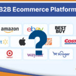 How to Choose the Right eCommerce Platform for B2B?